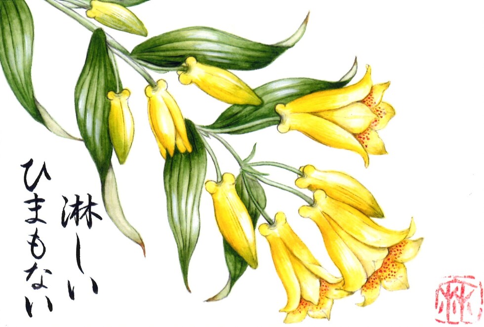 花のはがき絵