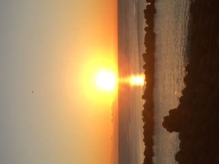 年末年始ツアー募集開始！