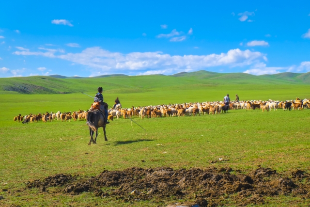 高知発着チャーター便利用・悠久の大地モンゴルへ！