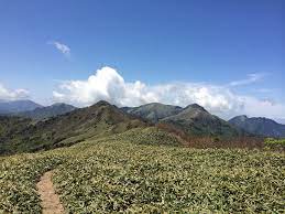 高新山巡り・四国百山(45)「平家平(1693m・初級)」 高新山巡り・四国百山(45)「平家平(1693m・初級)」