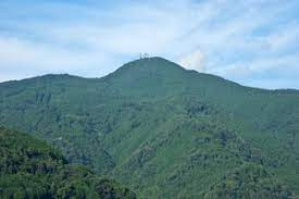 高新山巡り・四国百山(47)「黒森山(1017m・初級)」 高新山巡り・四国百山(47)「黒森山(1017m・初級)」