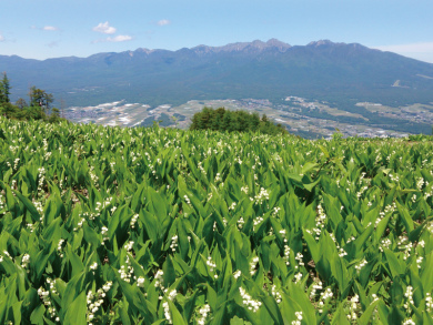 入笠山