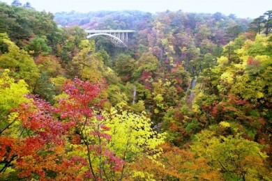 錦秋の東北周遊3日間～紅葉の鳴子峡と、みちのく古寺巡礼～