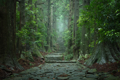 熊野古道大門坂（イメージ）