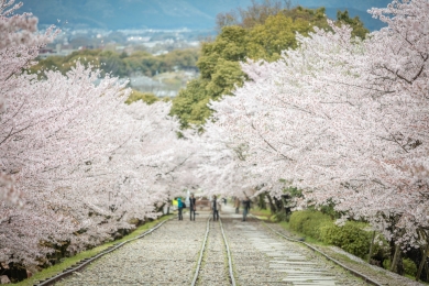 蹴上インクライン（イメージ）
