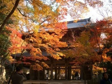GoToトラベル <img src=