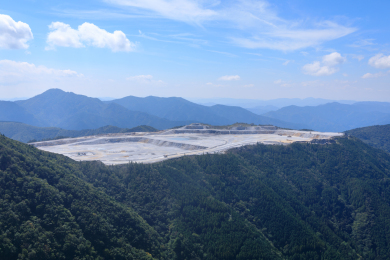 農学博士寺峰先生と行く 鳥形山草花観察ハイキング 農学博士寺峰先生と行く 鳥形山草花観察ハイキング