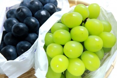 神石高原セラピーウオークとぶどう狩り食べ放題 神石高原セラピーウオークとぶどう狩り食べ放題