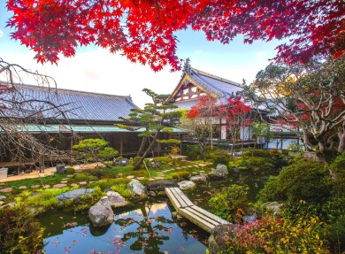 伊予水引細工作りと紅葉彩る新居浜「慈眼寺」～和風フレンチのコースランチ～