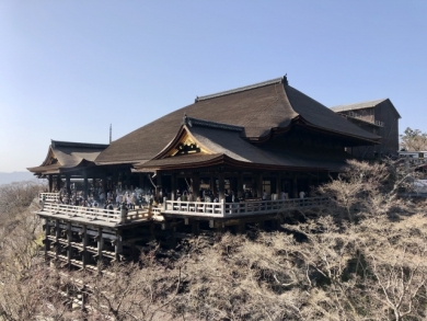 京都で迎えるお正月3日間