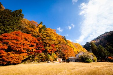 小田深山の紅葉（イメージ）