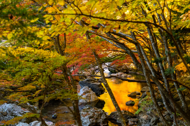 小田深山紅葉ハイキング 小田深山紅葉ハイキング