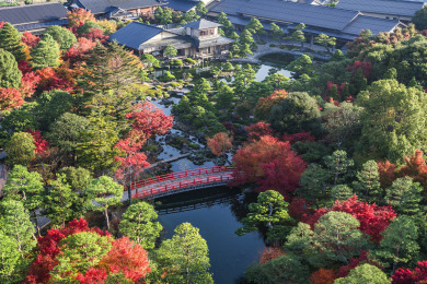 大根島・由志園/紅葉（イメージ）