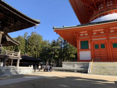吉野山千本桜と春の高野山奥の院参拝 2日間 吉野山千本桜と春の高野山奥の院参拝 2日間