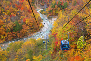 越後の紅葉美景めぐり3日間~谷川岳、奥只見湖、清津峡、苗場ドラゴンドラ、わたらせ渓谷鐵道~ 越後の紅葉美景めぐり3日間~谷川岳、奥只見湖、清津峡、苗場ドラゴンドラ、わたらせ渓谷鐵道~