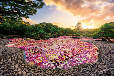 山陰・山陽 秋の花絶景めぐり2日間 山陰・山陽 秋の花絶景めぐり2日間
