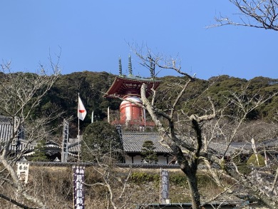 日和佐薬王寺初詣と伊勢海老潮騒会席