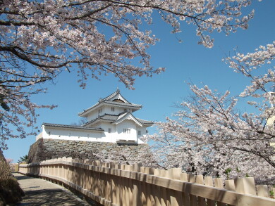 日本名城を訪ねる51　・甲州4日間