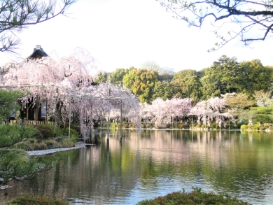 平安神宮神苑（イメージ）