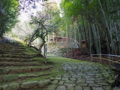 歴史の旅路・萩往還を歩く3日間(前編)~~日本海から瀬戸内まで全55km踏破~ 歴史の旅路・萩往還を歩く3日間(前編)~~日本海から瀬戸内まで全55km踏破~