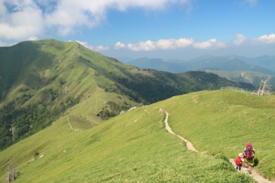 キレンゲショウマ咲く剣山＜入門＞