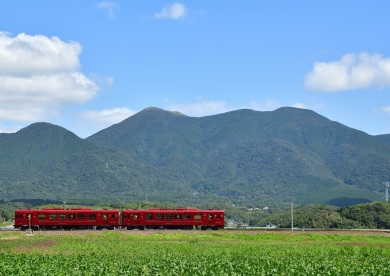 特急ゆふいんの森と九州美食の観光列車「ことこと列車」貸切運行！列車内でいただくフレンチコースランチ