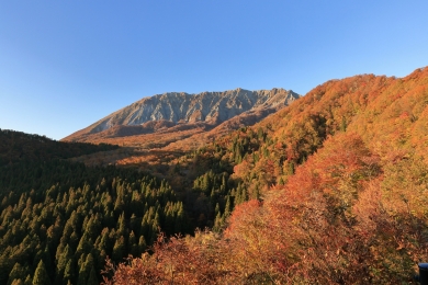 ＜山歩き旅行・中級＞紅葉の大山・蒜山・鏡ヶ成湿原（象山・擬宝珠山）（岡山県・鳥取県）