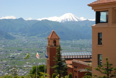ﾌﾙｰﾂﾊﾟｰｸ富士屋ホテル