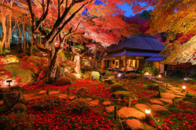 錦秋の滋賀・紅葉めぐり3日間　教林坊夜間特別拝観と湖東三山