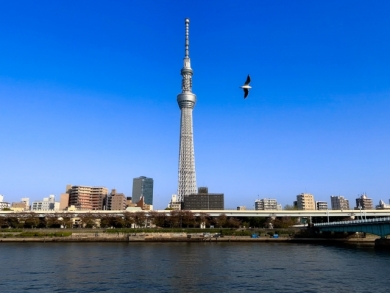 東京フリープラン3日間
