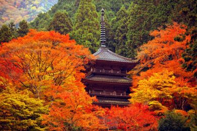 高源寺（イメージ）