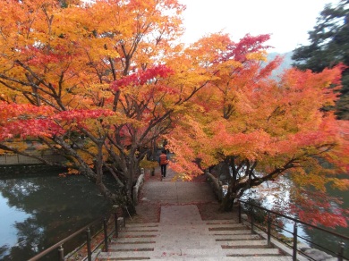 円通寺（イメージ）