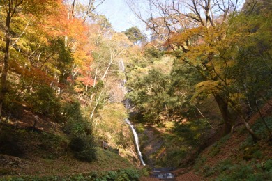 猿尾滝（イメージ）