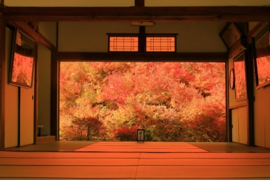 丹波・紅葉の古刹と但馬安国寺のドウダンツツジ2日間