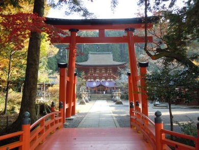 観光列車「天空」で訪ねる秋景の世界遺産高野山