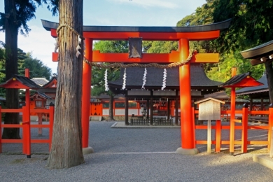 吉田神社(イメージ) 吉田神社(イメージ)