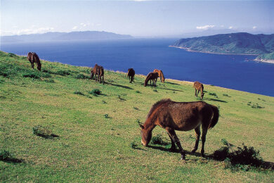 宮崎・日南海岸で迎えるお正月３日間