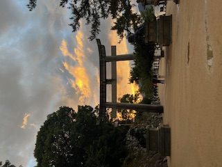 年越しは嶺北の湖畔で　四国と瀬戸内をめぐる厳島神社参拝3日間