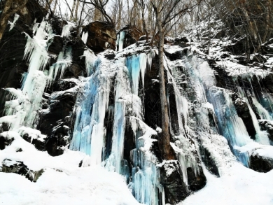 雪の奥入瀬渓谷（イメージ）