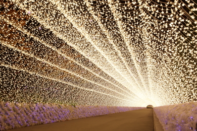 伊勢神宮と花と光の絶景　長島・鳥羽温泉3日間