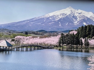 鶴の舞橋 鶴の舞橋