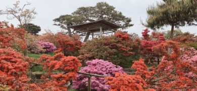 館林つつじが岡公園
