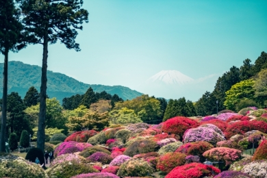 小田急　山のホテル