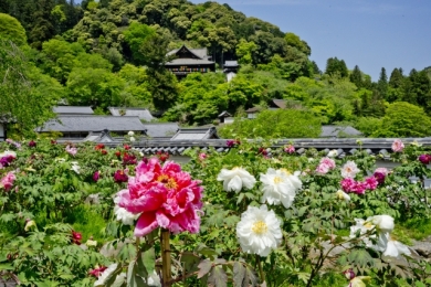 とあるお とあるお