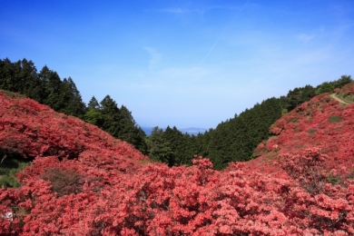 　ありがとう　母の日に贈る感謝の旅1泊2日　～行先はお楽しみ