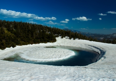 蔦の森の水芭蕉と新緑の奥入瀬渓流＆神秘のドラゴンアイ3日間