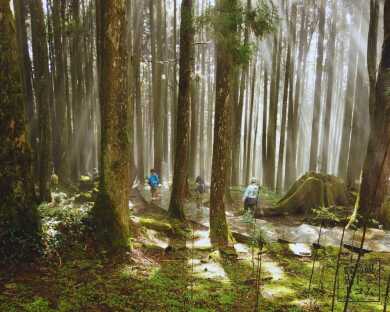 ハイキング ハイキング