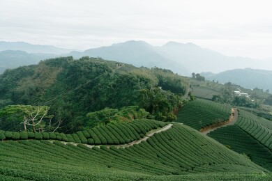 チャーター便利用‼ もっと知りたい!台湾5日間 ~阿里山と台中から台南へ~ チャーター便利用‼ もっと知りたい!台湾5日間 ~阿里山と台中から台南へ~