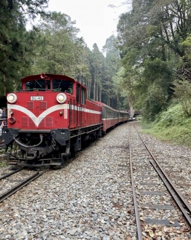 高知発着チャーター便利用‼ もっと知りたい!台湾5日間 ~阿里山と台中から台南へ~ 高知発着チャーター便利用‼ もっと知りたい!台湾5日間 ~阿里山と台中から台南へ~