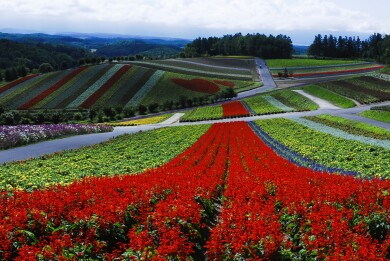 四季彩の丘(イメージ) 四季彩の丘(イメージ)